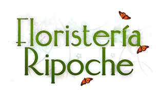 Floristería Ripoche Floristería Ripoche
