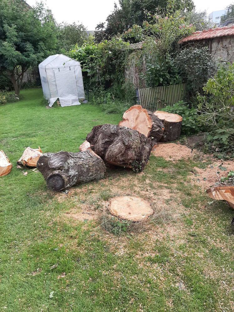 Découpe d'un tronc d'arbre