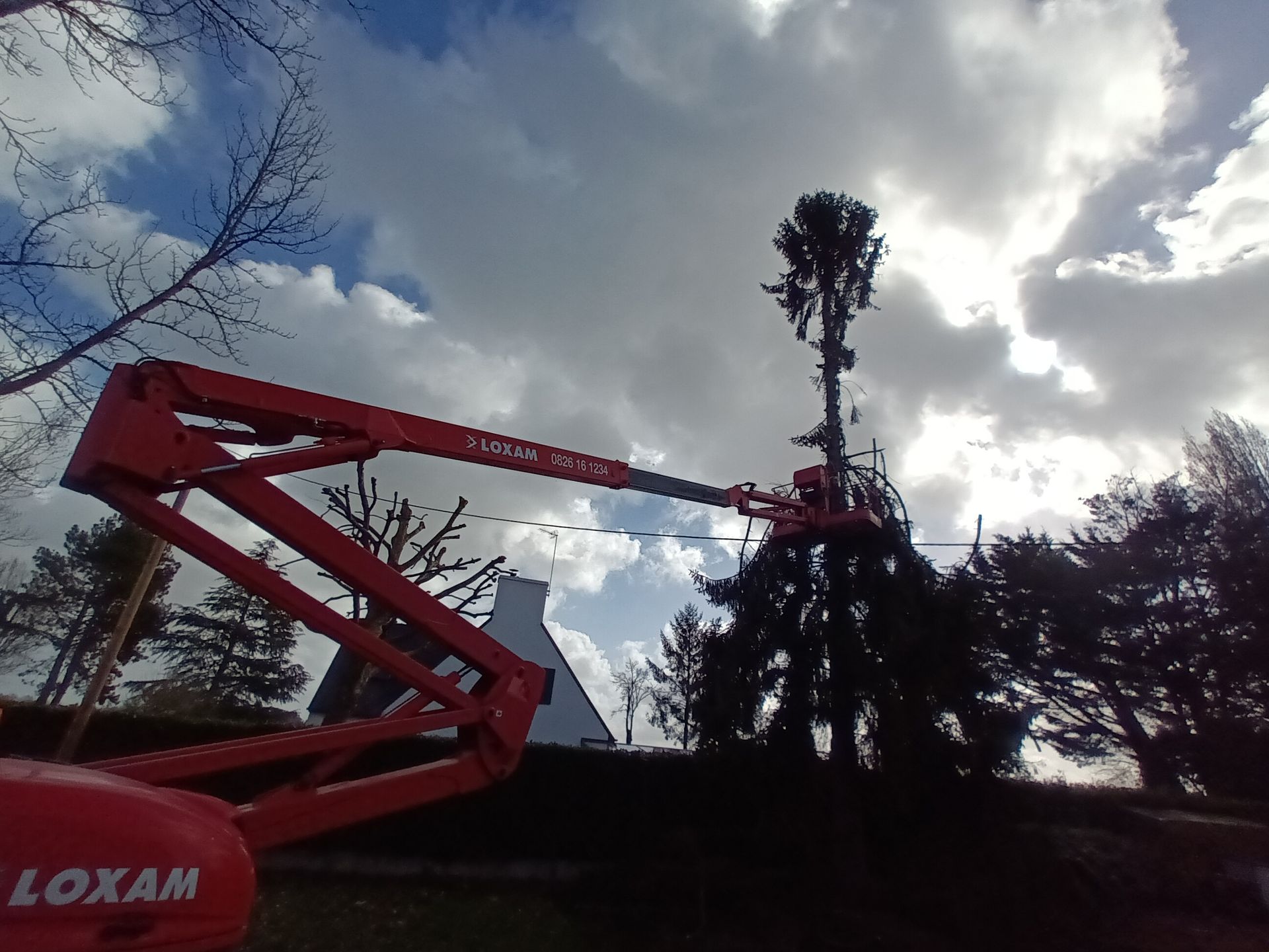 Abattage en démontage d'un sapin de 18 mètres en nacelle