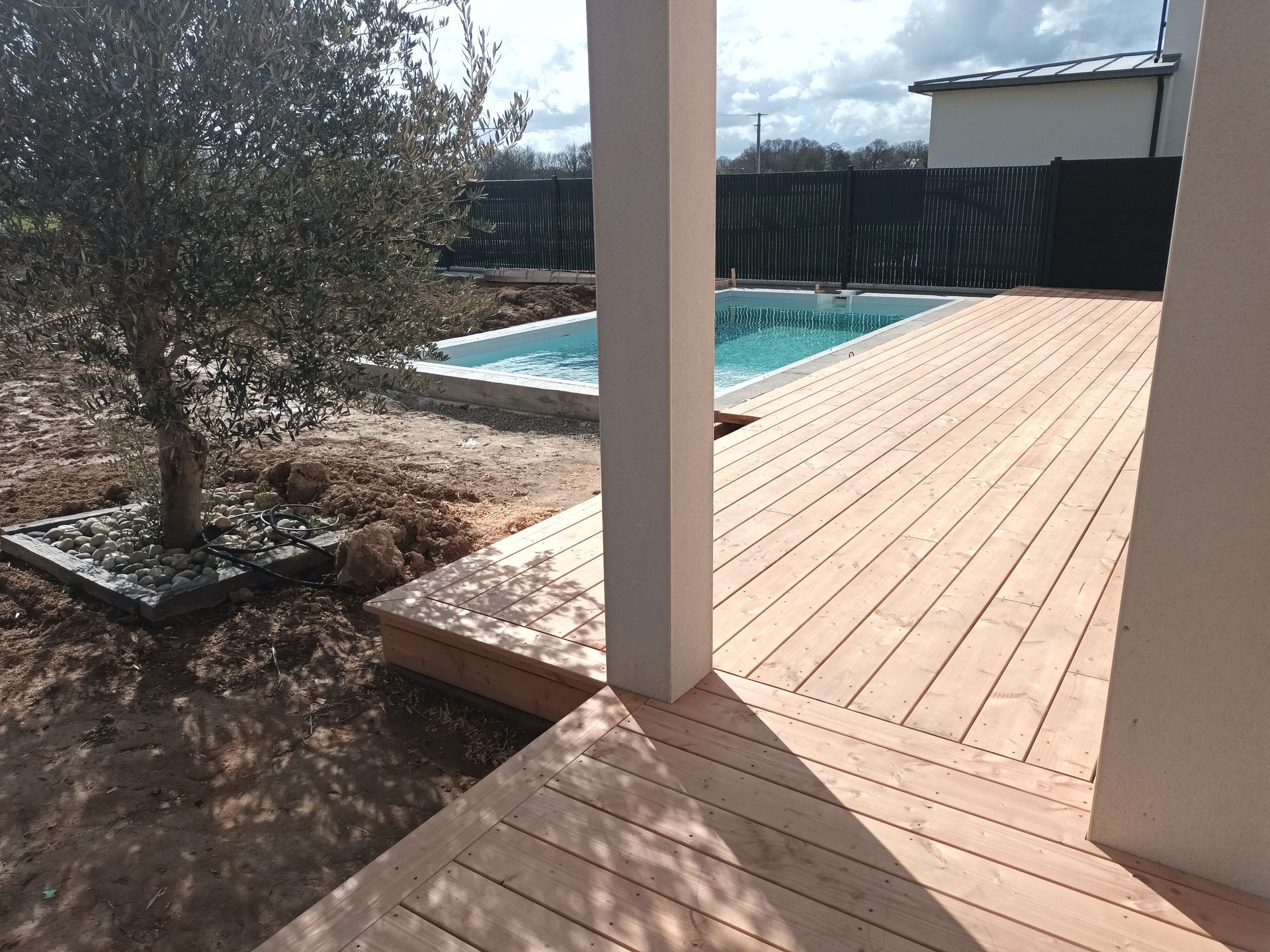 Verdure en arrière plan