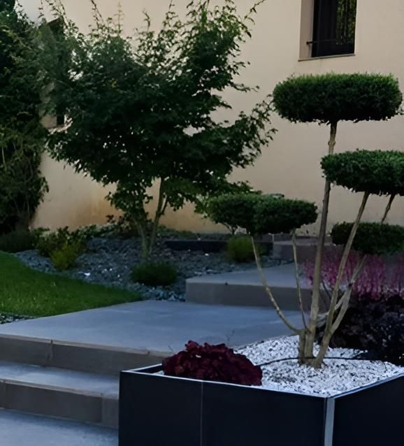 Arbustes et haut des escaliers