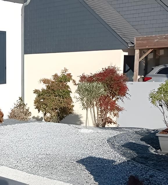 Arbustes rouges et verts