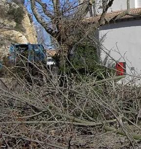 Tas de branches élaguées