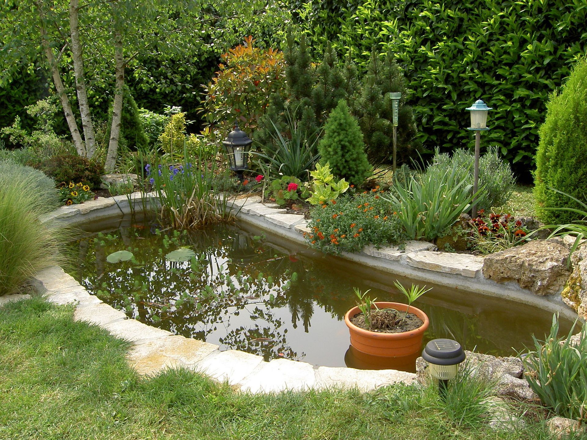 Bassin aquatique dans un jardin