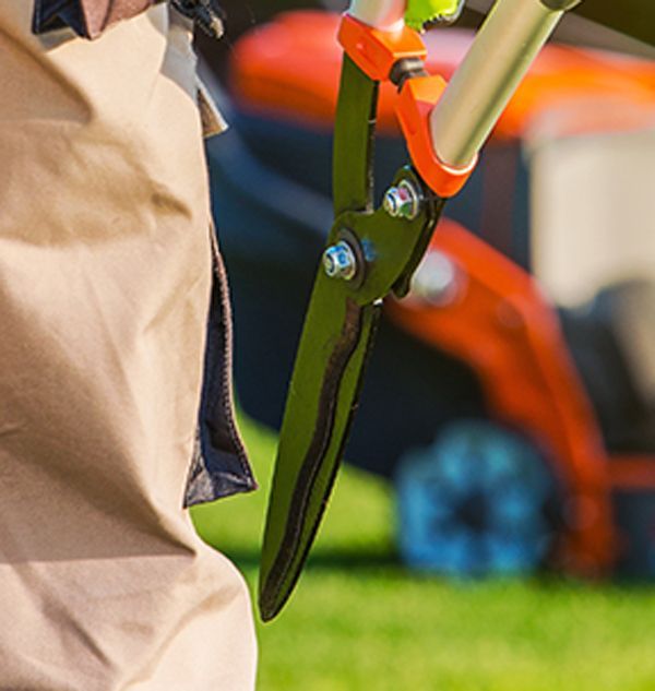 Paysagiste tenant un sécateur