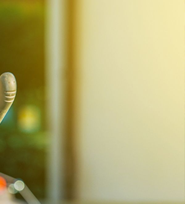 Bout du manche du sécateur