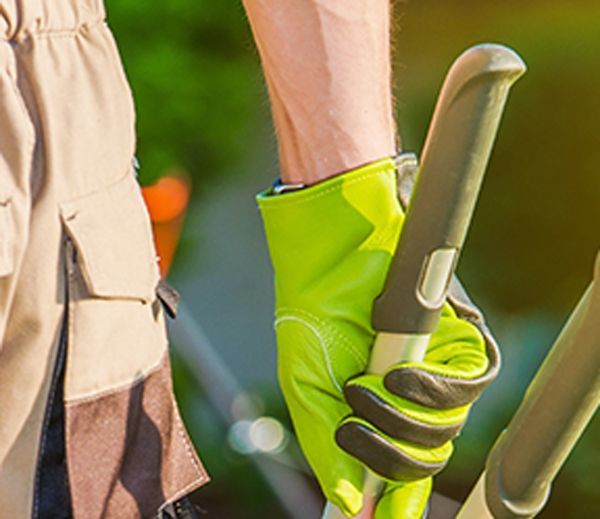 Manche d'un sécateur