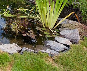 Coin droit d'un bassin