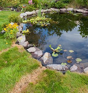 Coin gauche d'un bassin