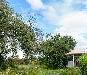 Kiosque au fond d'un jardin