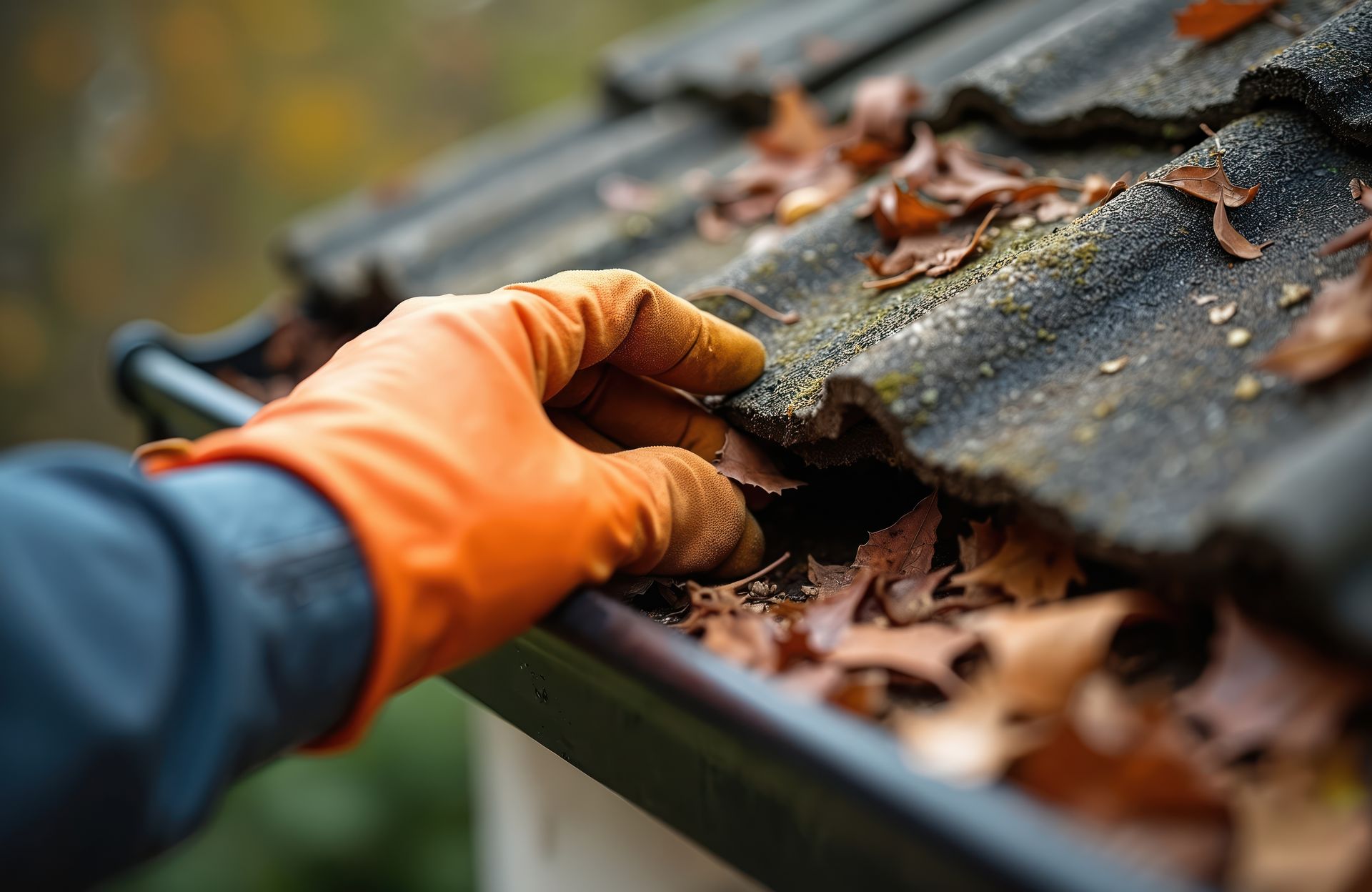 Retrait de feuilles mortes sur toit lors d'un démoussage
