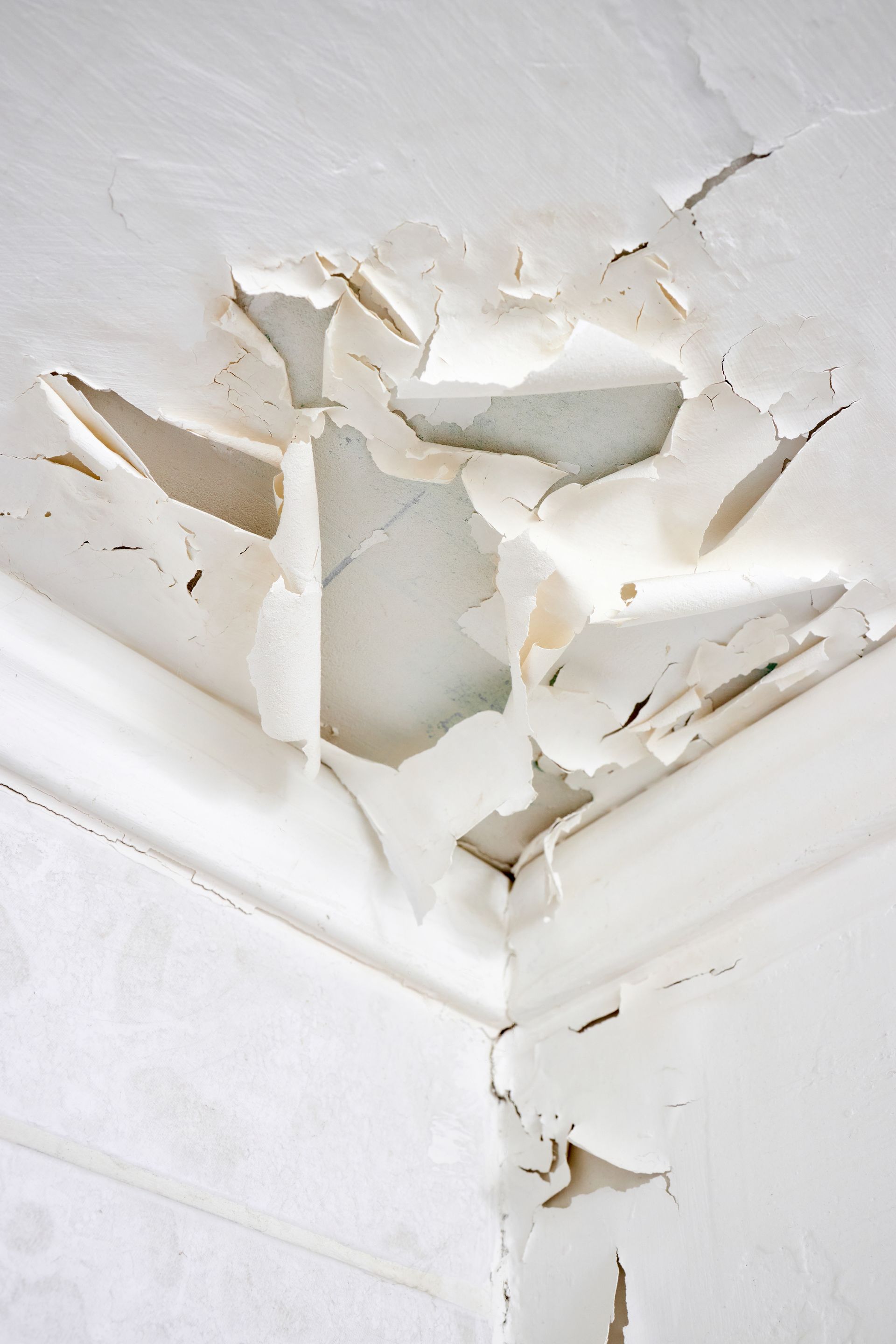 Dégradation de plafond à la suite à des fuites d'eau