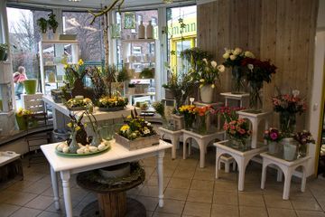 Blumengeschaft innenansicht 3