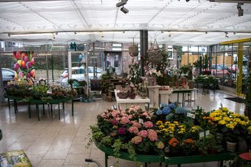 Blumengeschaft innenansicht