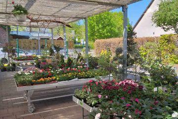 Blumen kettwig Aubenberich