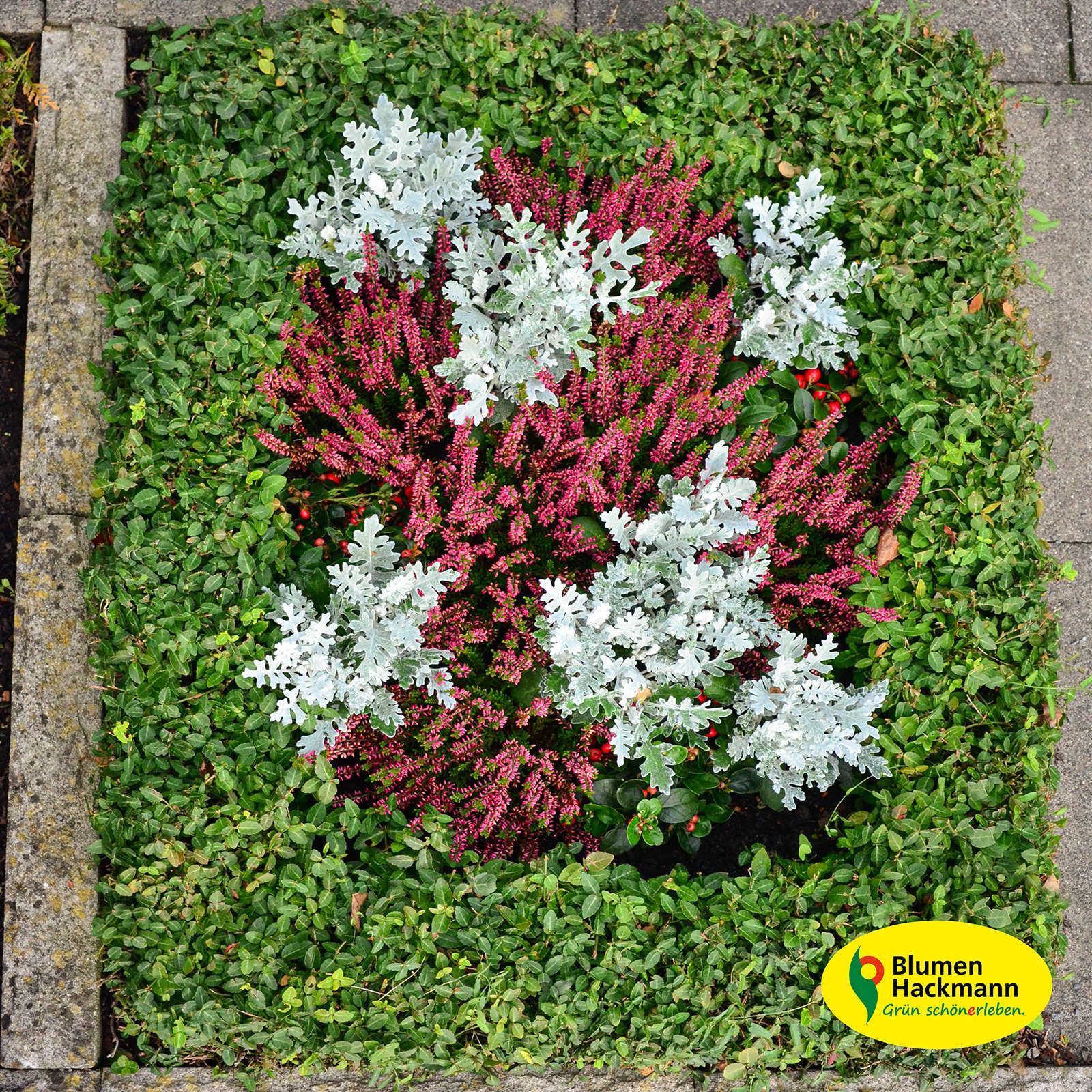 Herbstdeko | Blumen- und Friedhofsgärtnerei Hackmann