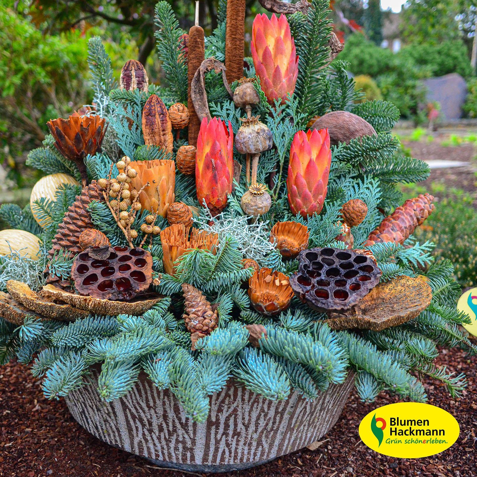 Herbstdeko | Blumen- und Friedhofsgärtnerei Hackmann