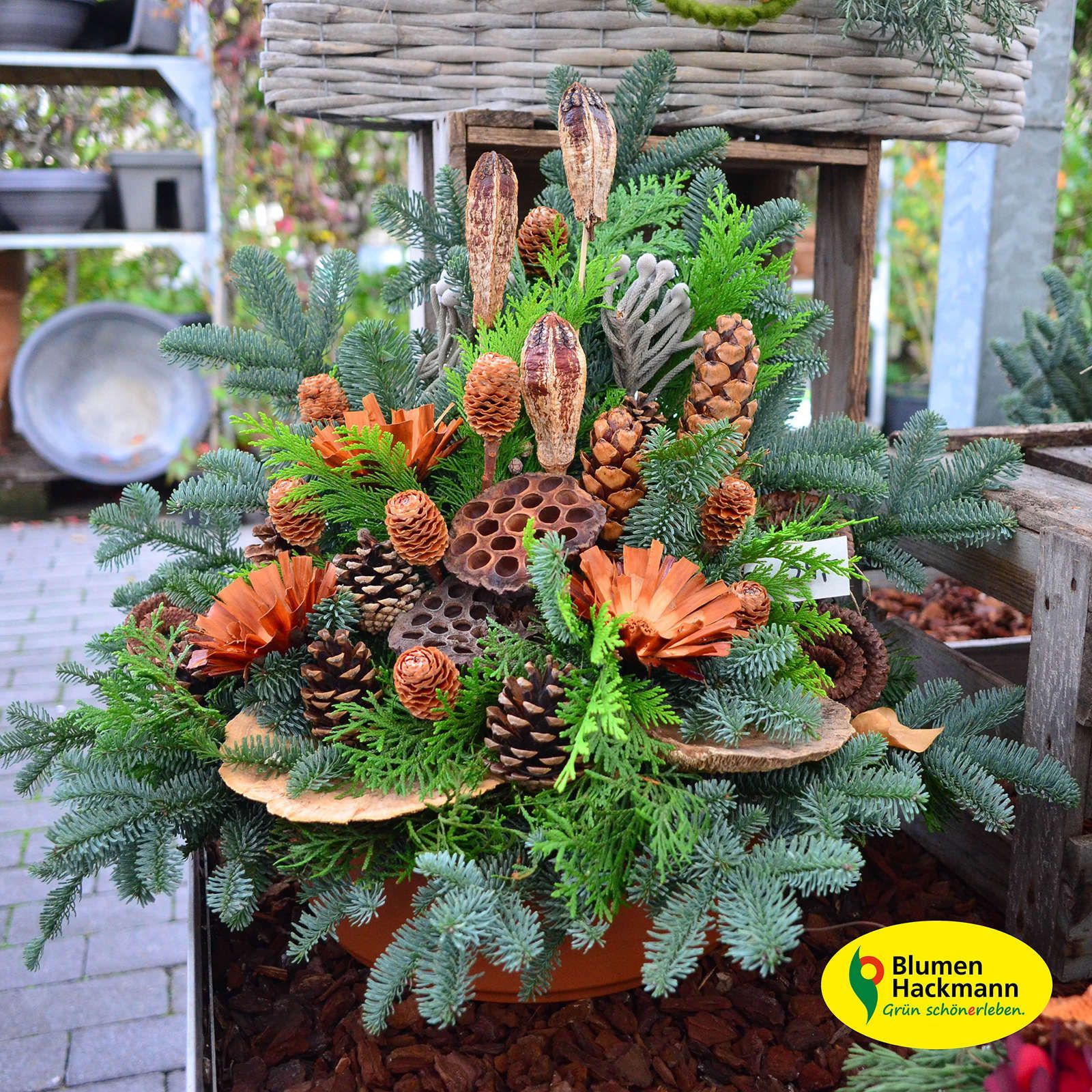 Herbstdeko | Blumen- und Friedhofsgärtnerei Hackmann