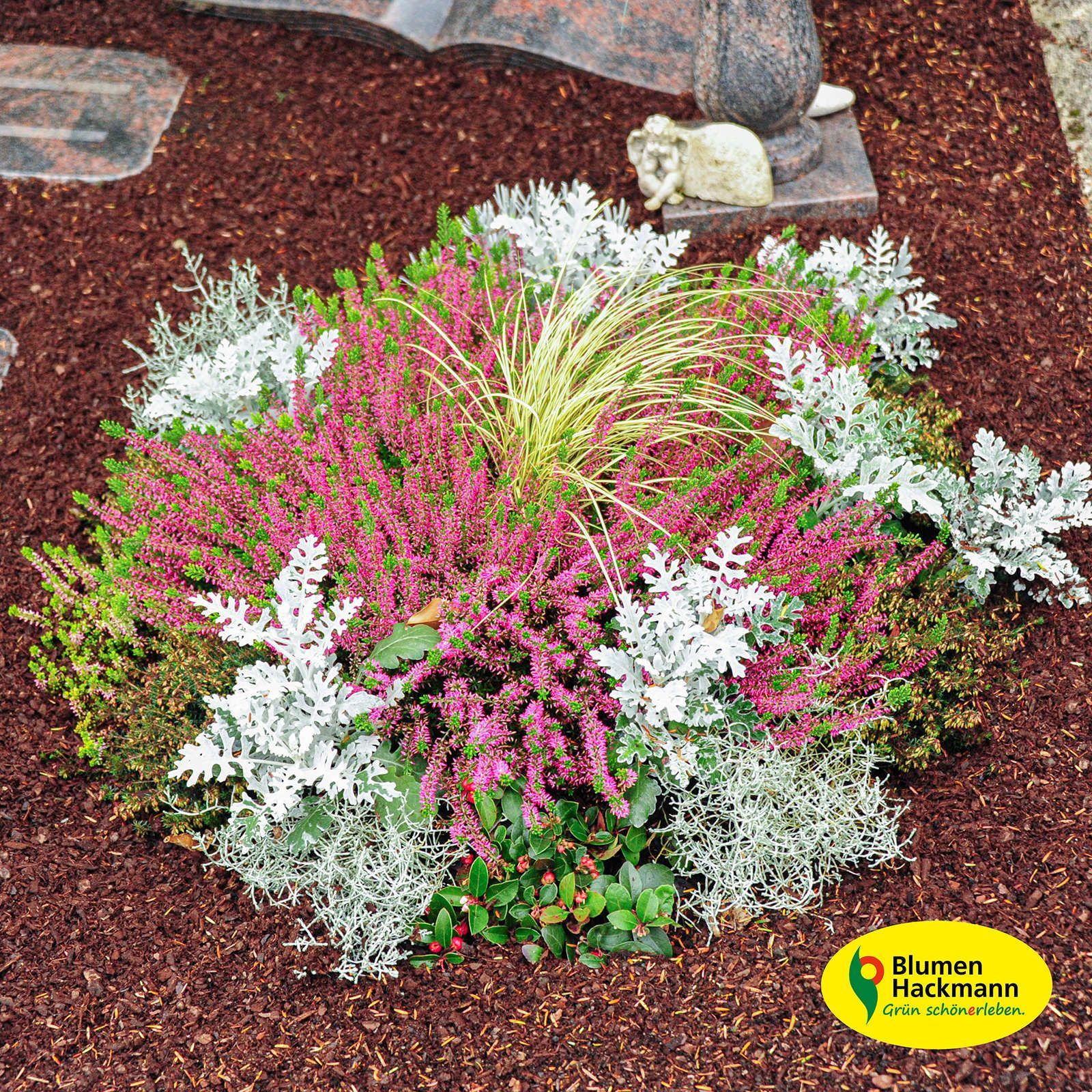 Herbstdeko | Blumen- und Friedhofsgärtnerei Hackmann