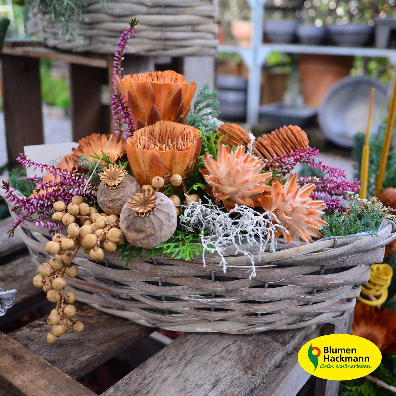 Herbstdeko | Blumen- und Friedhofsgärtnerei Hackmann