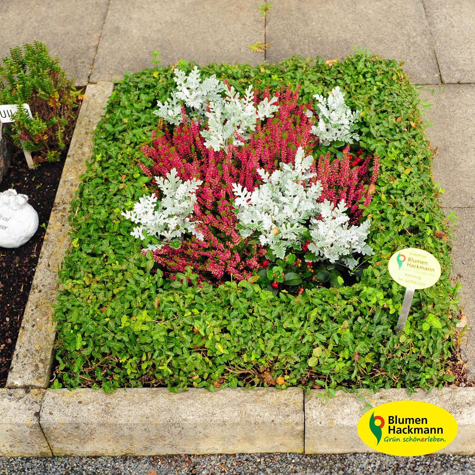 Herbstdeko | Blumen- und Friedhofsgärtnerei Hackmann