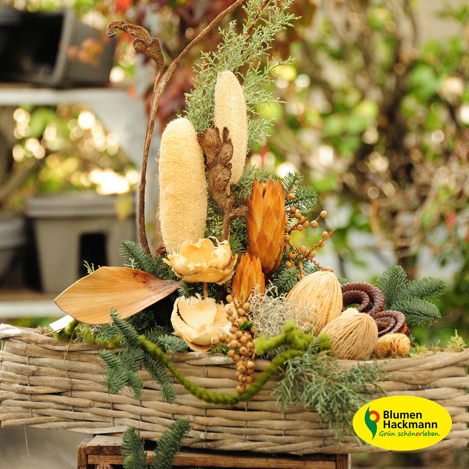 Herbstdeko | Blumen- und Friedhofsgärtnerei Hackmann