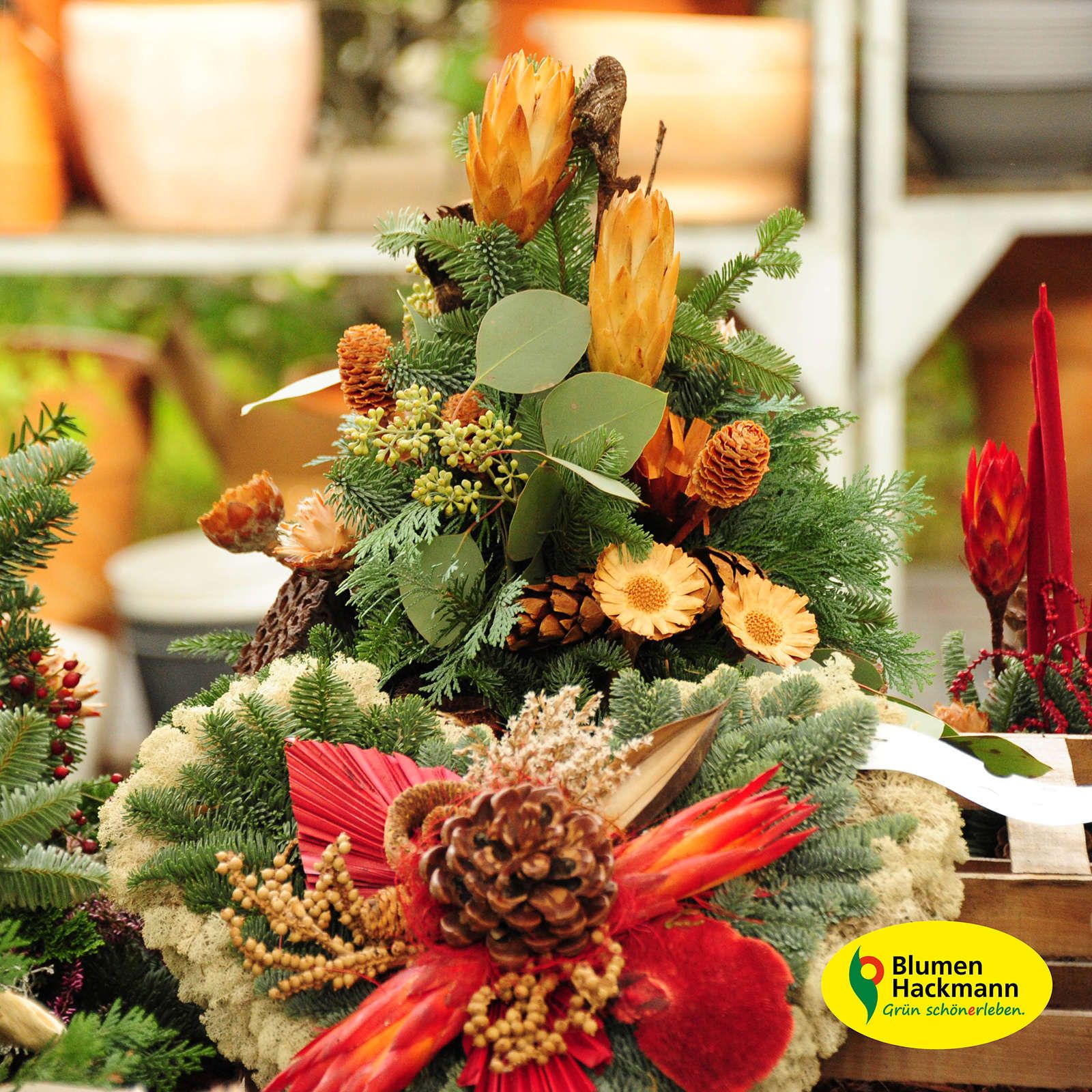Herbstdeko | Blumen- und Friedhofsgärtnerei Hackmann
