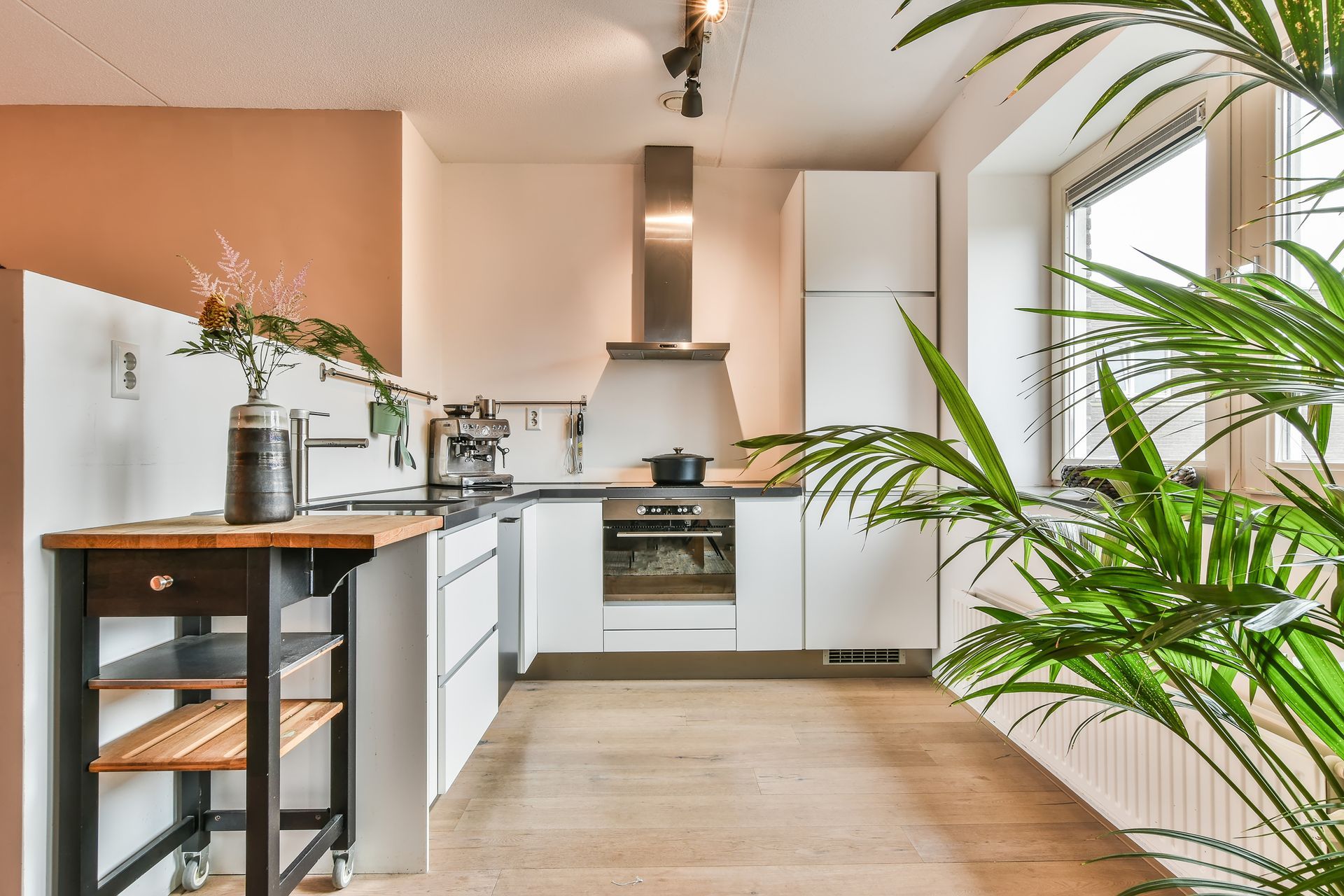 Cuisine blanche moderne avec parquet, appareils électroménagers en acier inoxydable et une grande plante.