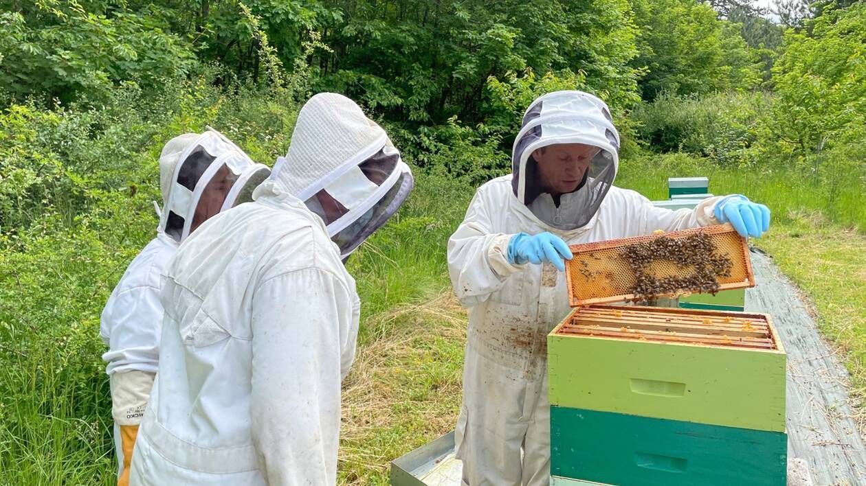 Apiculteurs autour d'une ruche d'abeille