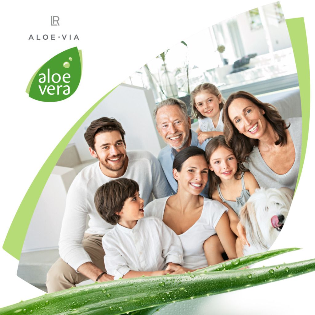 Aloe Vera