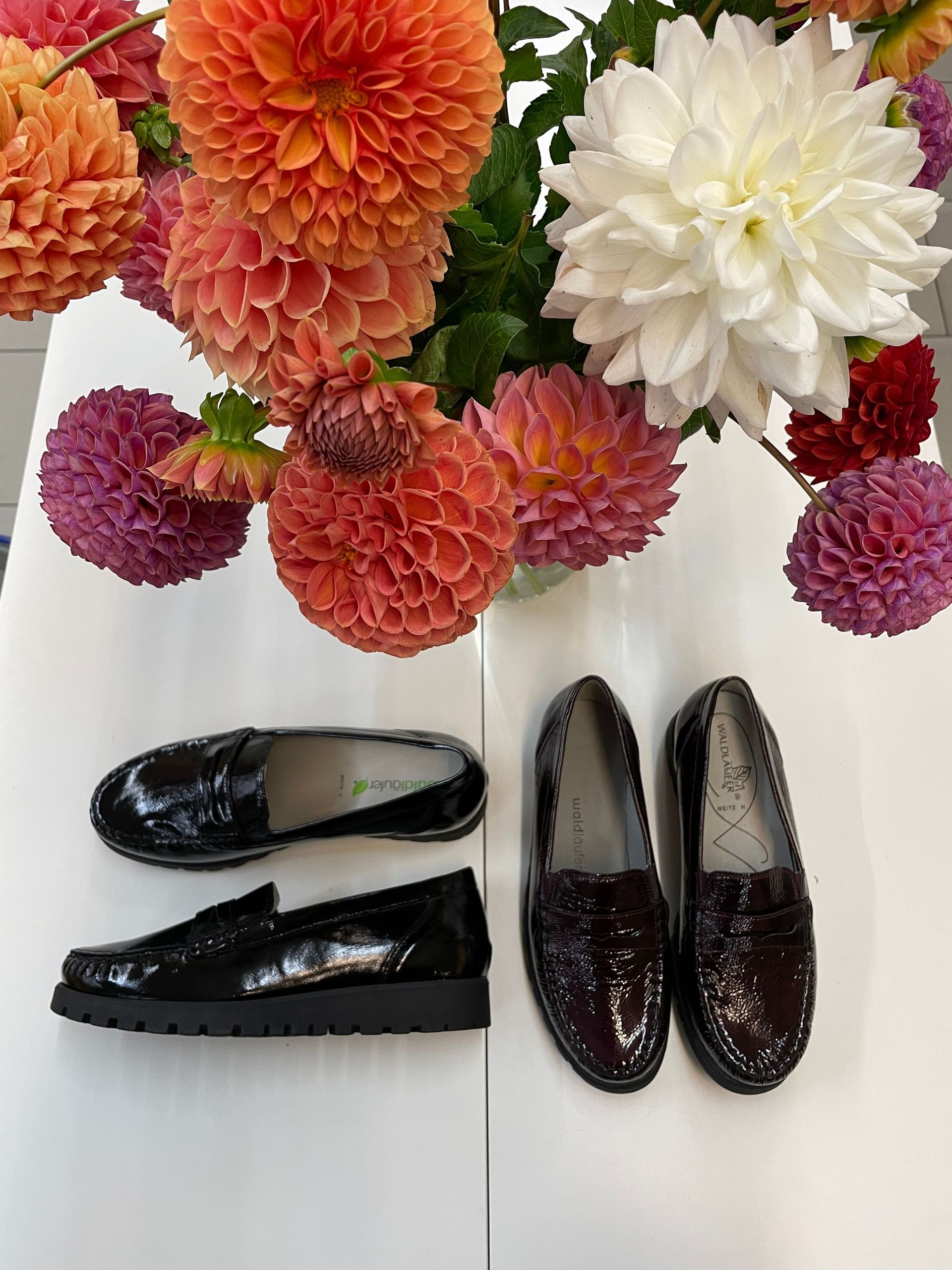 La Maison du Pied Sàrl