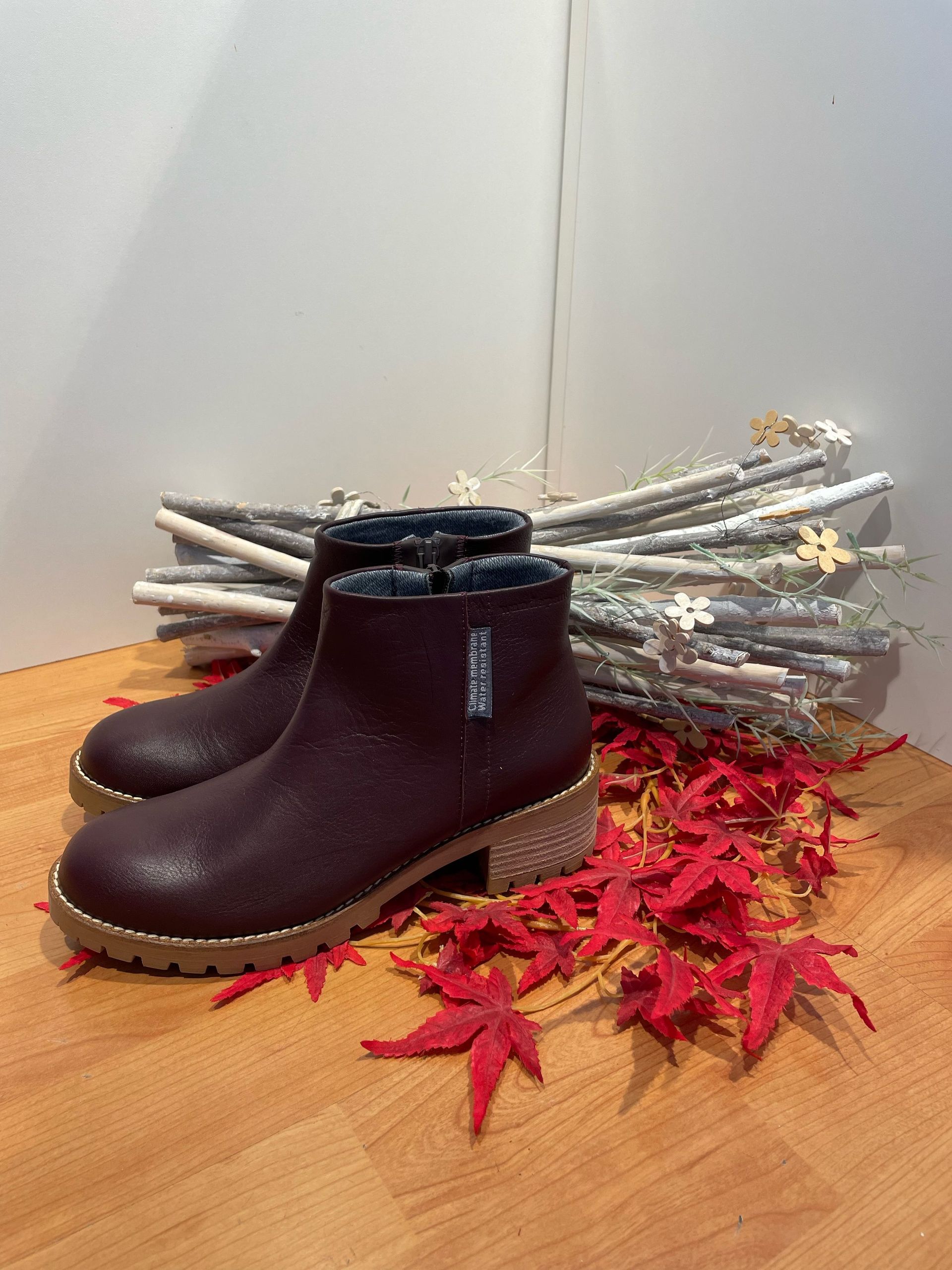 La Maison du Pied Sàrl