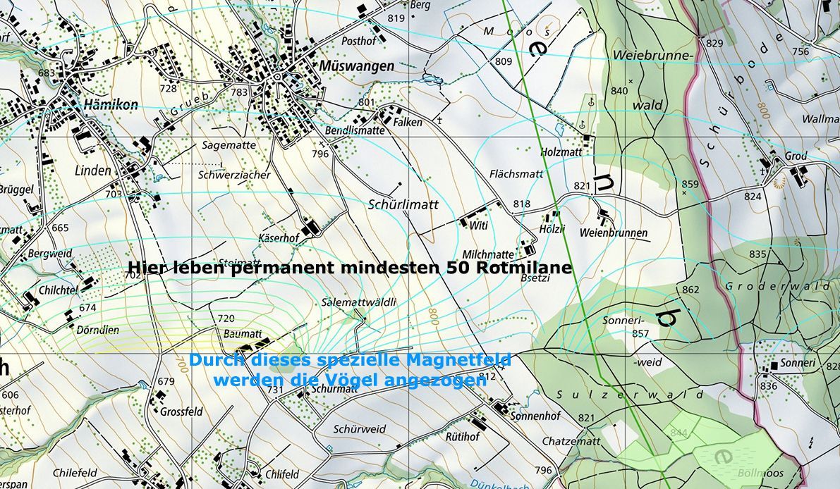 Aeromagnetische Feld auf 300 Meter über dem Lindenberg - in diesem Gebiet leben ganzjährig ca. 50 Rotmilane