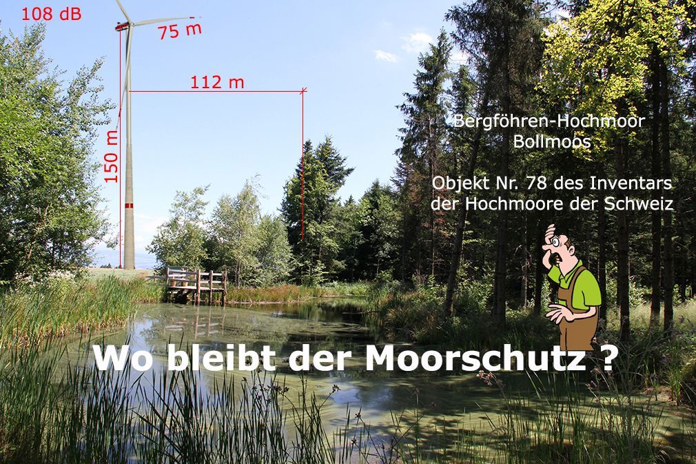Das eidgenössisch geschützte Hochmoor Bollmoos wird durch die Windenergieanlage 3 gefährdet.