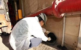 Una persona vestida con una bata y una gorra de laboratorio se arrodilla junto a una pared para inspeccionar un recipiente negro colocado debajo de un gran tubo rojo.