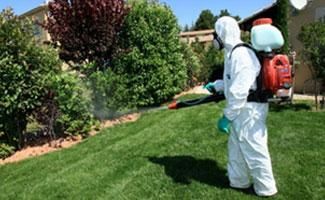 Una persona con un traje blanco de protección y un respirador utiliza un pulverizador de mochila para tratar un seto en un patio residencial.