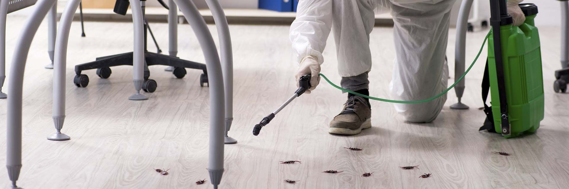 Una persona con equipo de protección, arrodillada en el suelo, utiliza una varilla rociadora de un tanque verde para desinfectar un espacio de oficina.