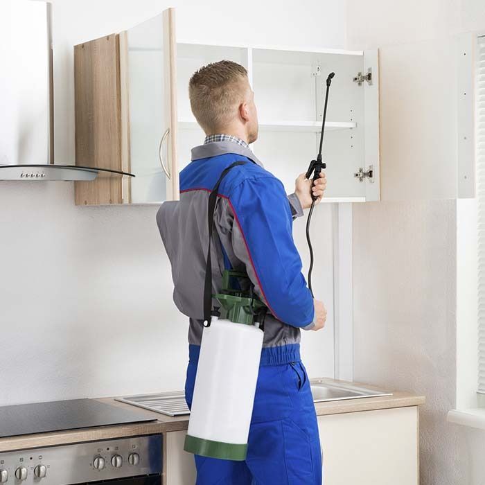 Un técnico de control de plagas con uniforme azul y gris rocía el interior de un armario de cocina abierto con un pulverizador de bomba.