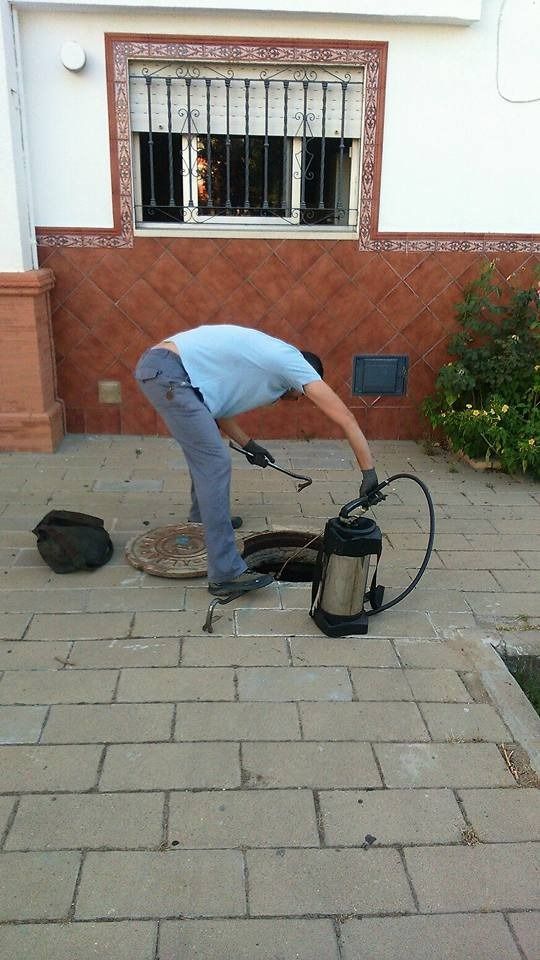 Una persona con una camisa azul claro se inclina para rociar el interior de un pozo abierto a nivel del suelo utilizando un tanque de metal portátil.