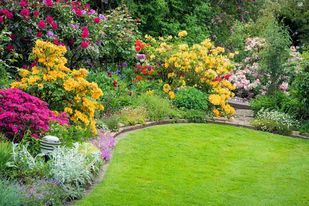 Rasenfläche und blühende Pflanzen in einem gepflegten Garten