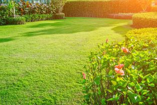 Pflege der Gartenanlage