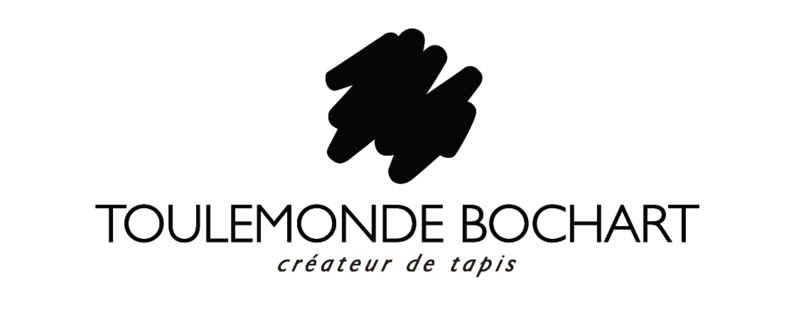 Logo Toulemonde Bochart