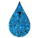BADGE3