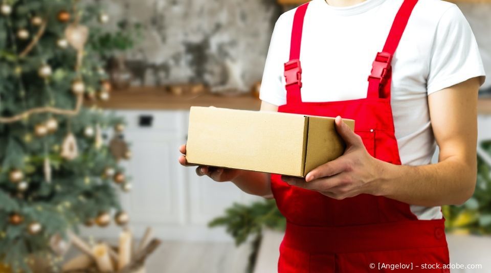 Eine Person in rotem Overall hält einen Pappkarton vor einem Weihnachtsbaum.