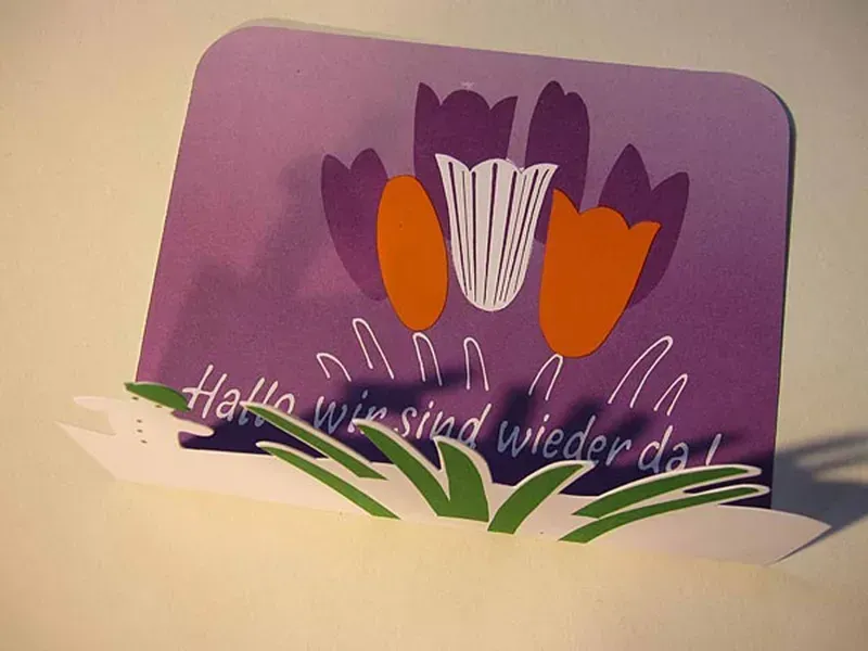 Purple greeting card with crocuses and German text “Hallo wir sind wieder da”