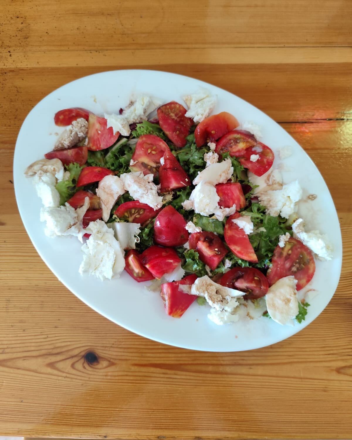 Ensalada de tomate y mozzarella en un plato ovalado blanco sobre una mesa de madera. Se aprecian tomates rojos y queso blanco.