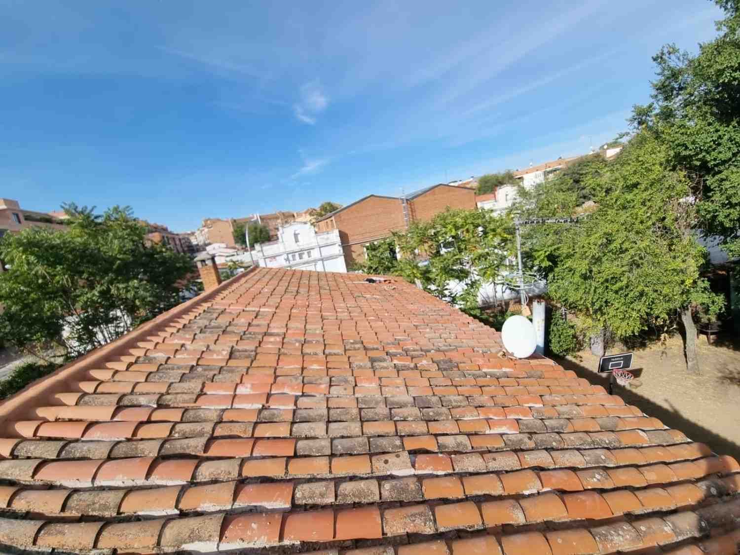 Techo de tejas con edificios y árboles contra un cielo azul.