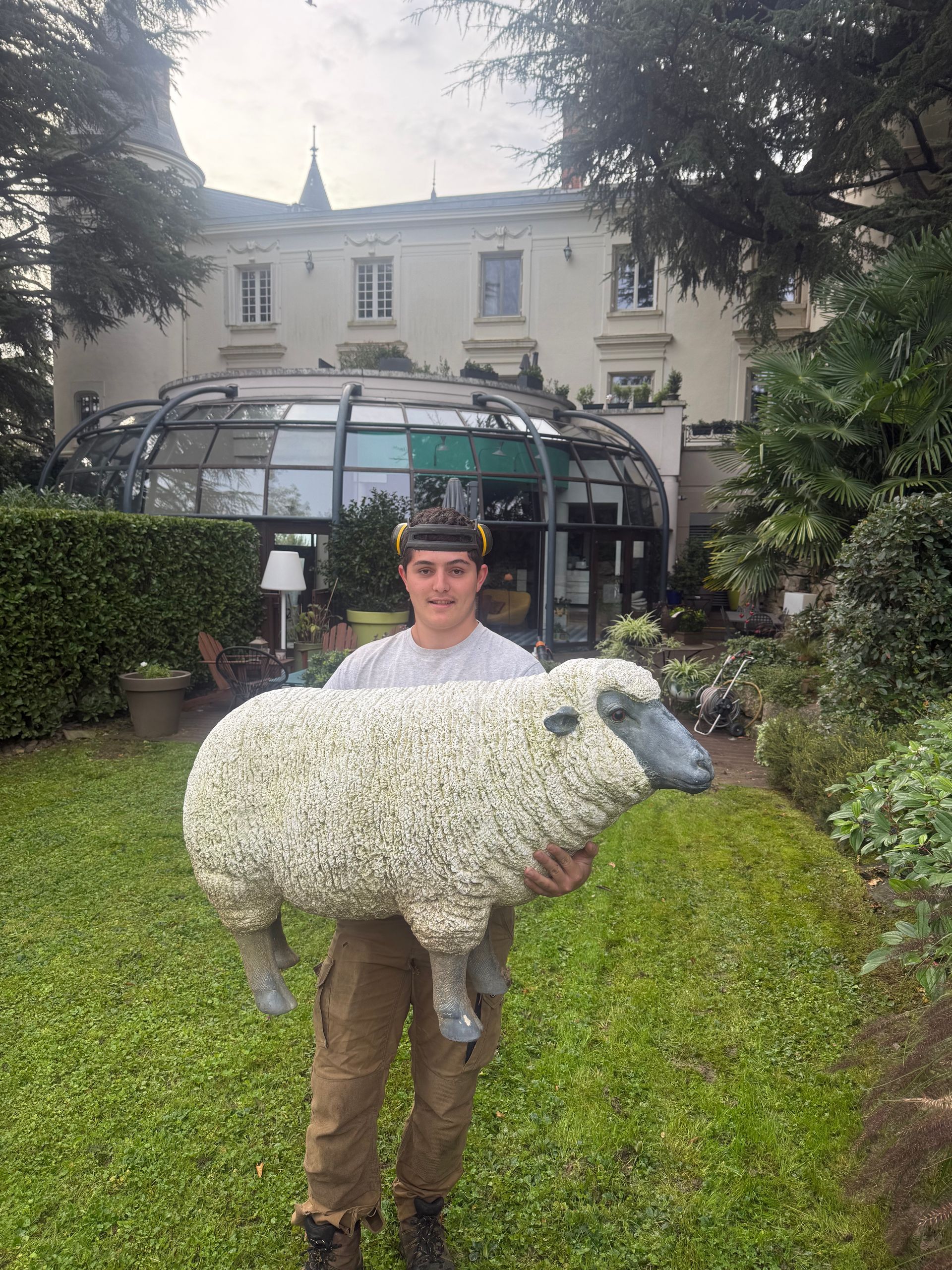 Pelouse en train d'être tondue