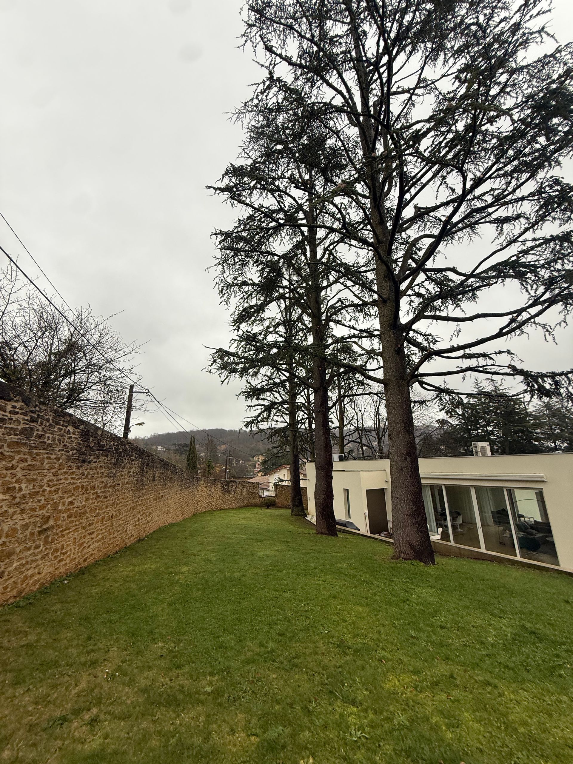 Élagueur sur une branche