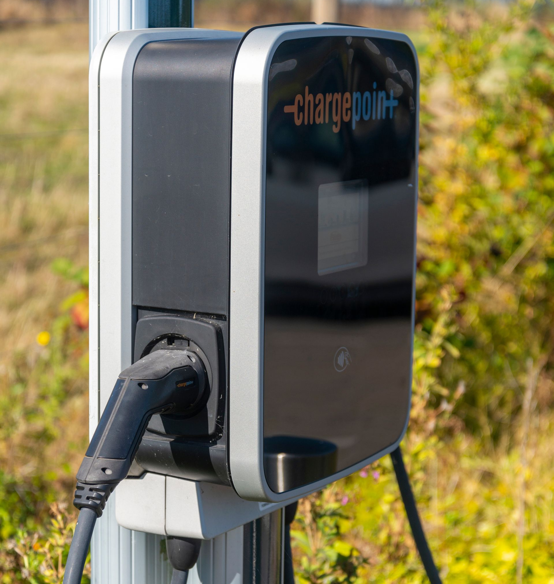 Une borne de recharge devant de la végétation